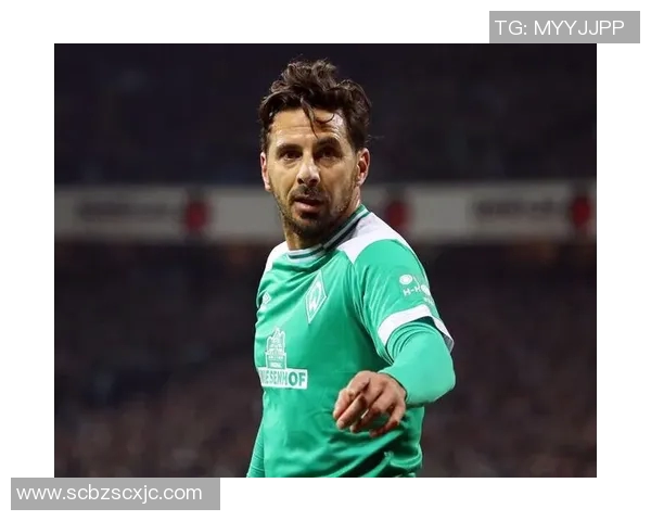 秘鲁足球明星盘点及其在国际赛场上的辉煌成就